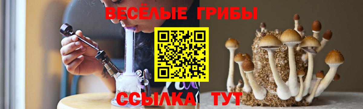 Галлюциногенные грибы мицелий  Вход с VPN  Гусь-Хрустальный 